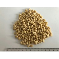 Pinie 1000g