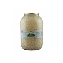 Cibulka 3500g SKLO Rapa