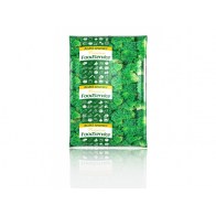 Brokolice 4-6cm mražená 2500g AGRO