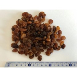 Rozinky sušené 1000g