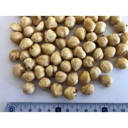 Lísková jádra blanšírovaná (loupaná) 1000g