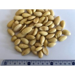 Mandle blanšírované (loupané) 1000g
